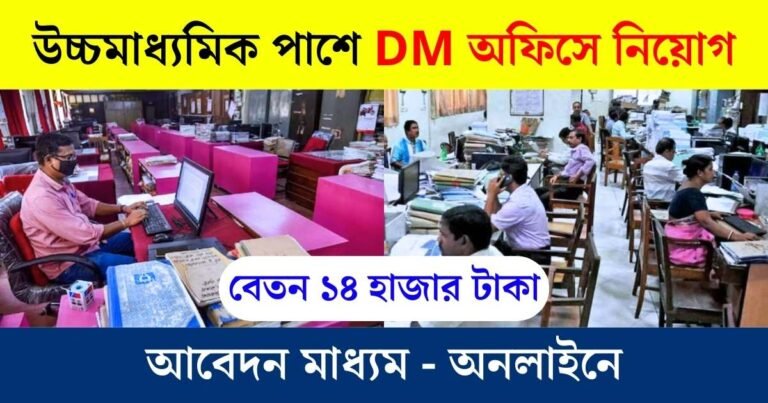 DM Office New Recruitment 2024