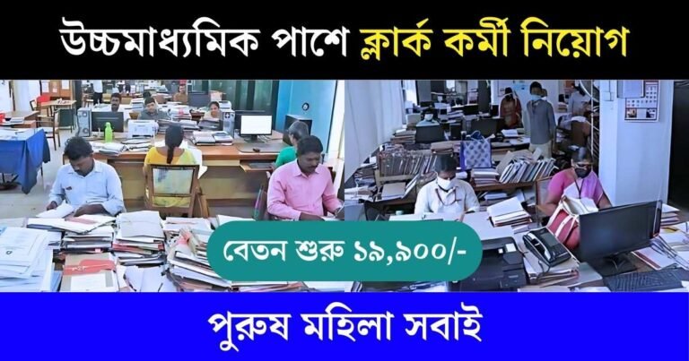 LDC Job Vacancy 2024