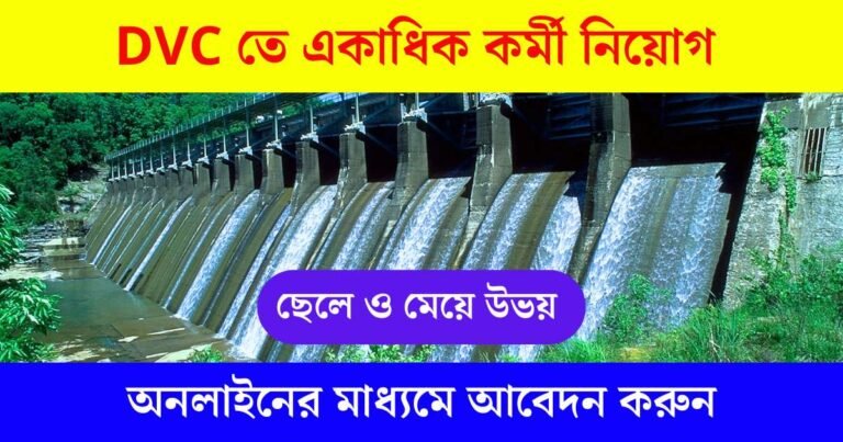 DVC New Job Vacancy 2025