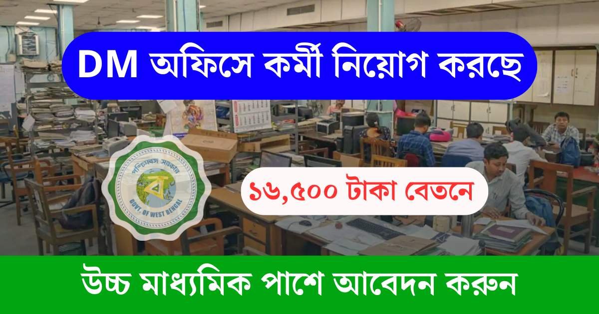 DM Office New Recruitment 2025