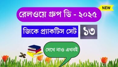 Railway Group D Practice Set 13