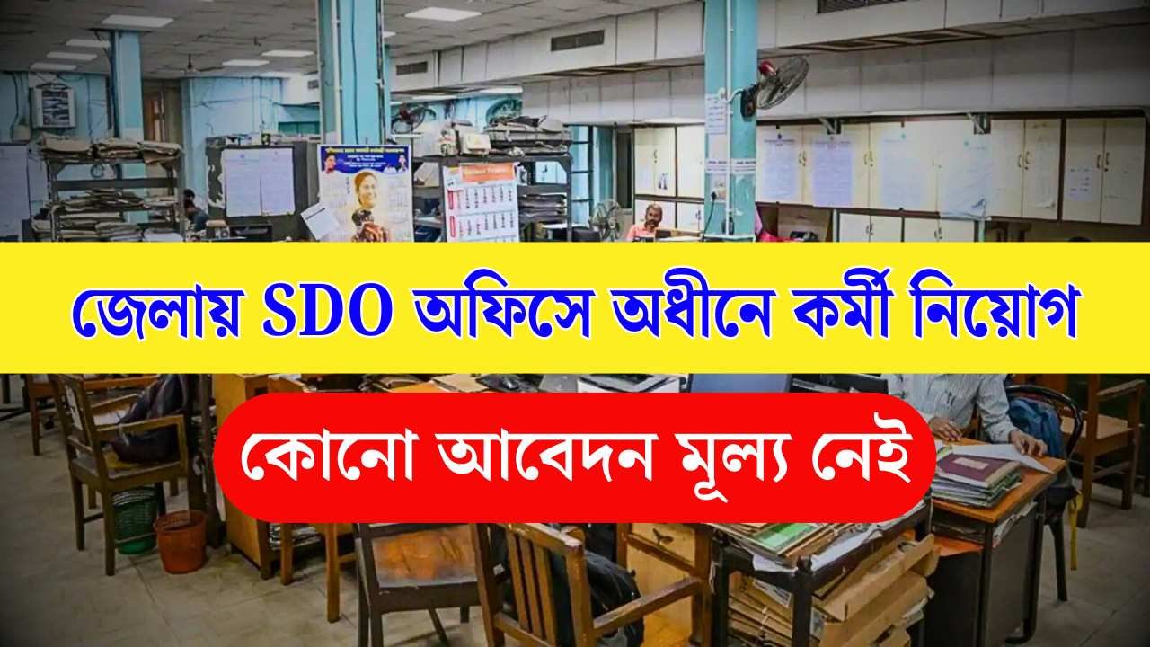 Sub Divisional Office Job Vacancy 2025